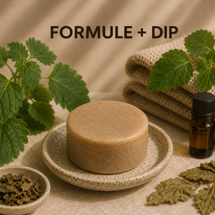 Formule validée avec DIP APRES SHAMPOING SOLIDE Patchouli
