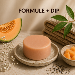 DIP APRES SHAMPOING SOLIDE Melon de Provence