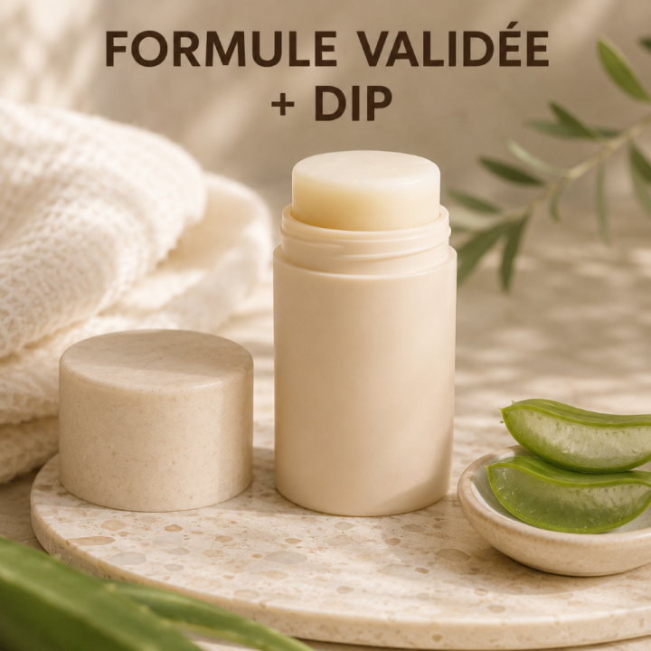 DIP DEODORANT SOLIDE Aloe vera