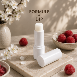 DIP ROUGE A LEVRES BATON