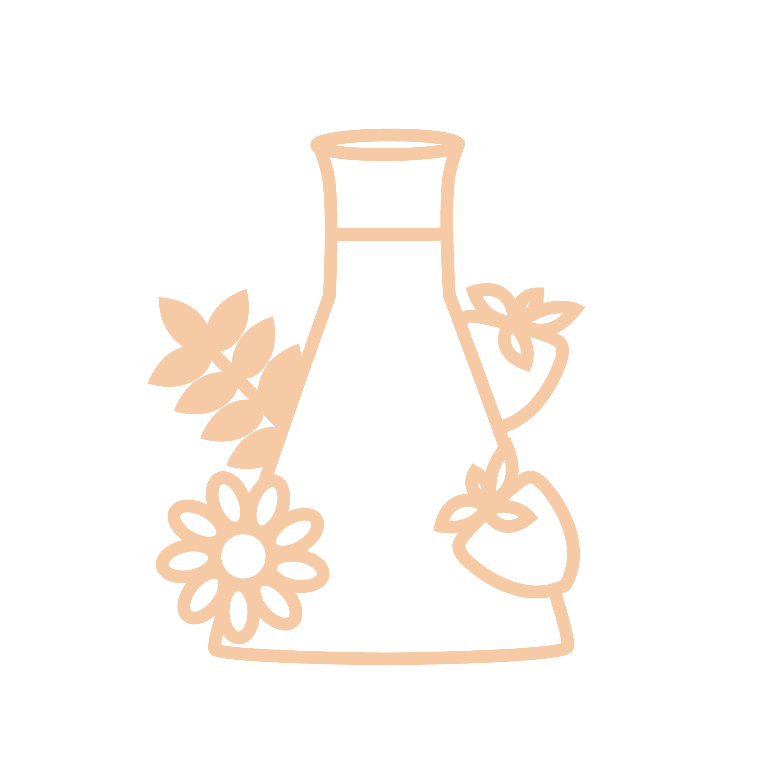 Extraits végétaux cosmétiques