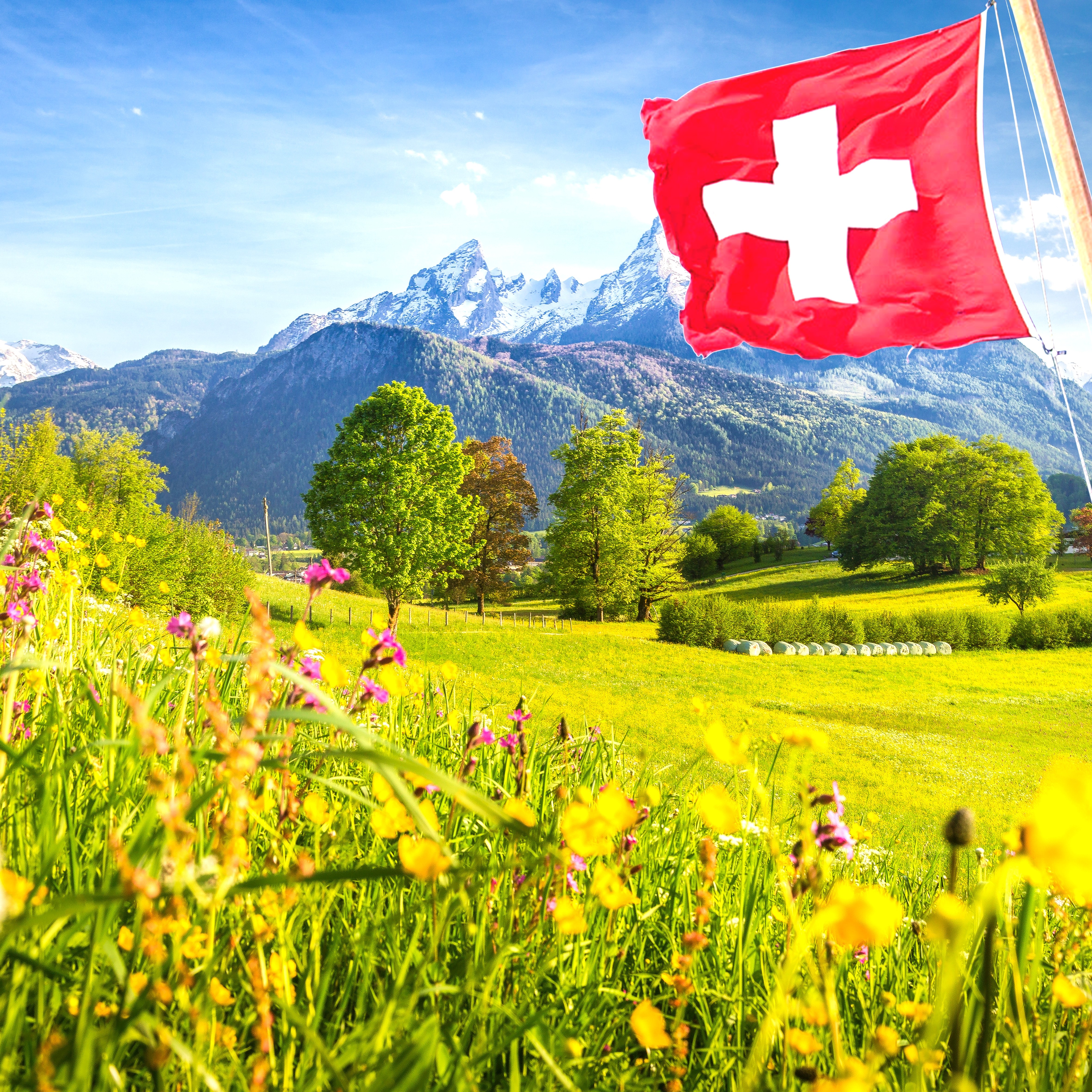 Parfums inspiration Suisse