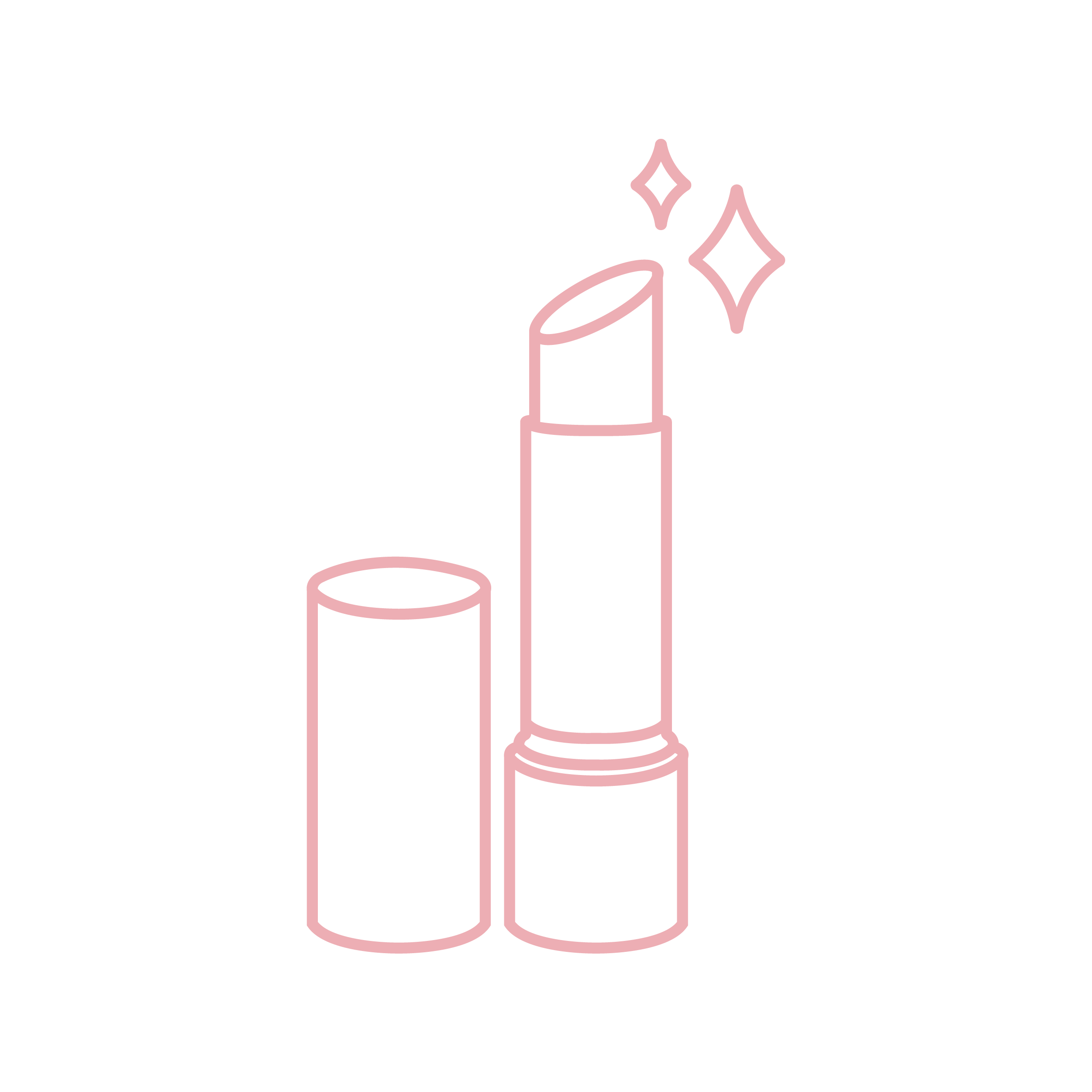DIP ROUGES A LEVRES BATONS