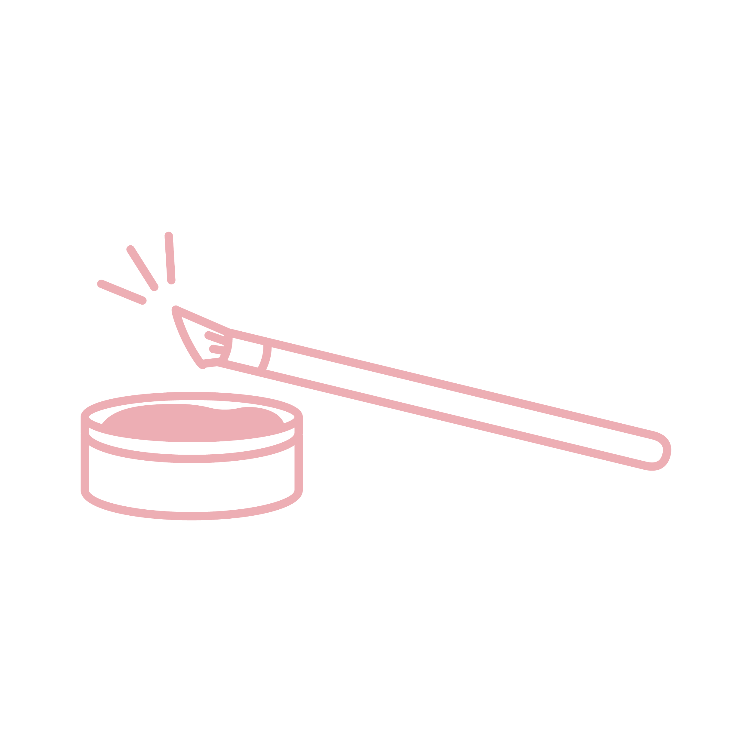 DIP CIRE SOURCILS