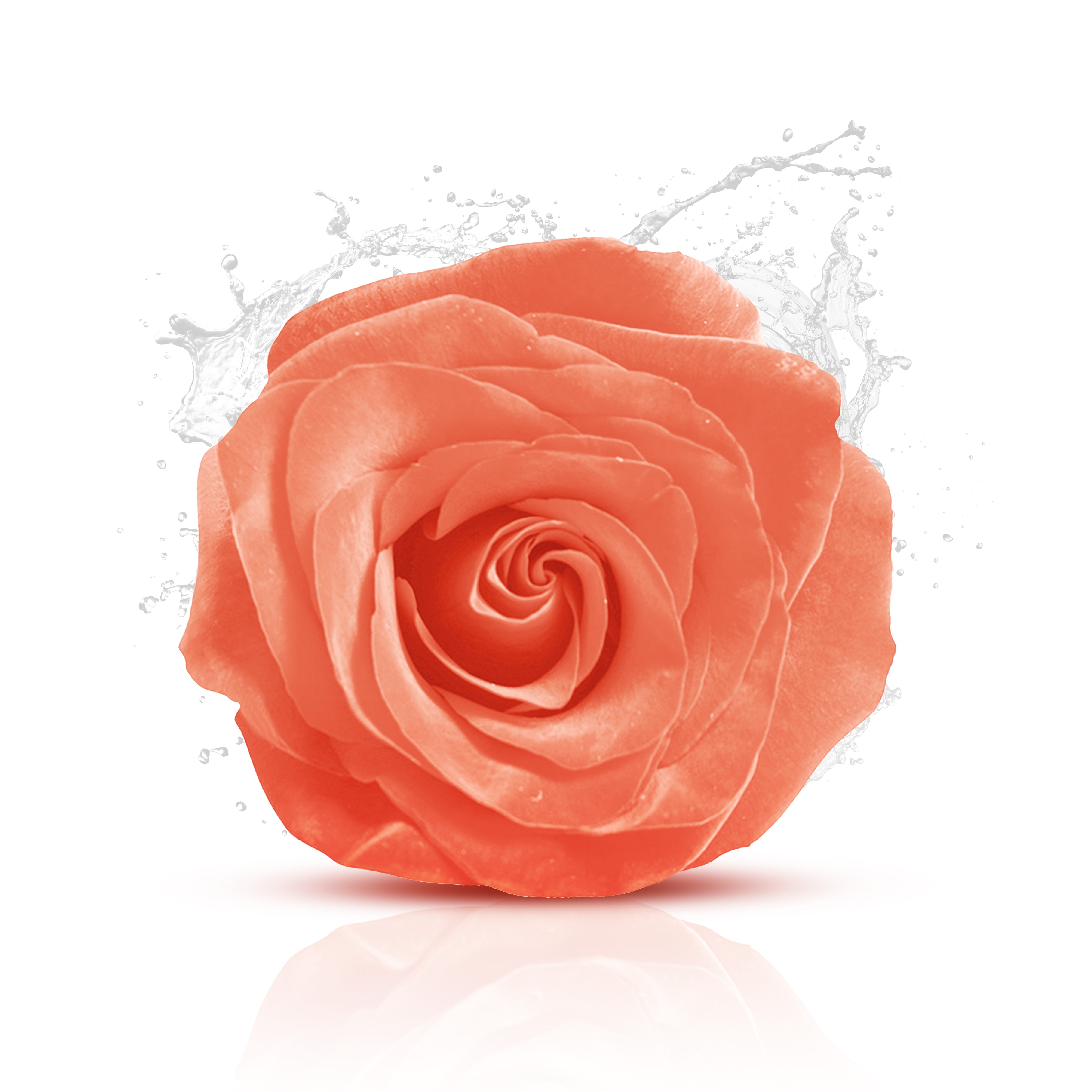 Parfums floraux