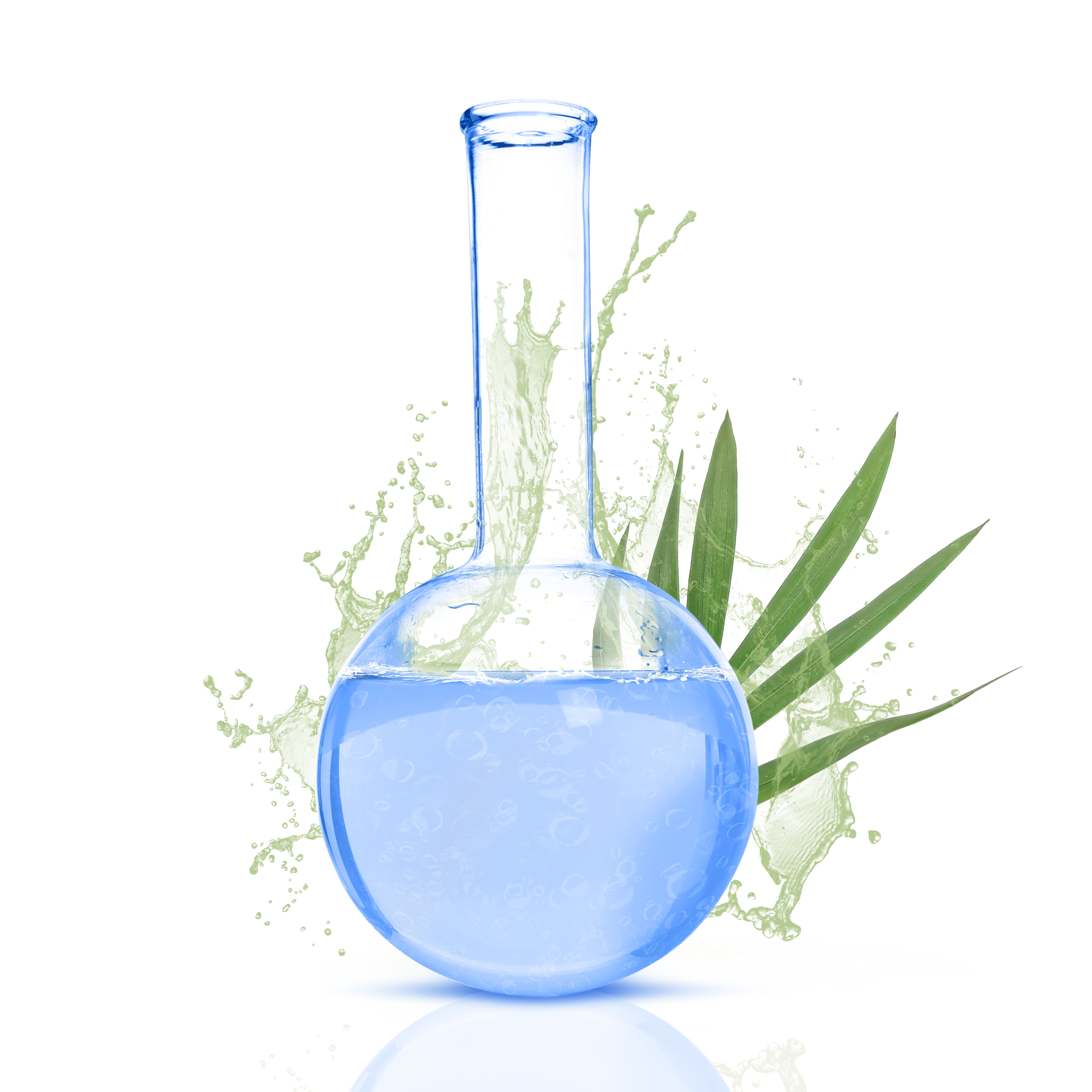 Parfums marins & SPA
